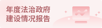 年度法治政府建设情况报告