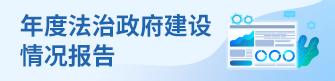 年度法治政府建设情况报告