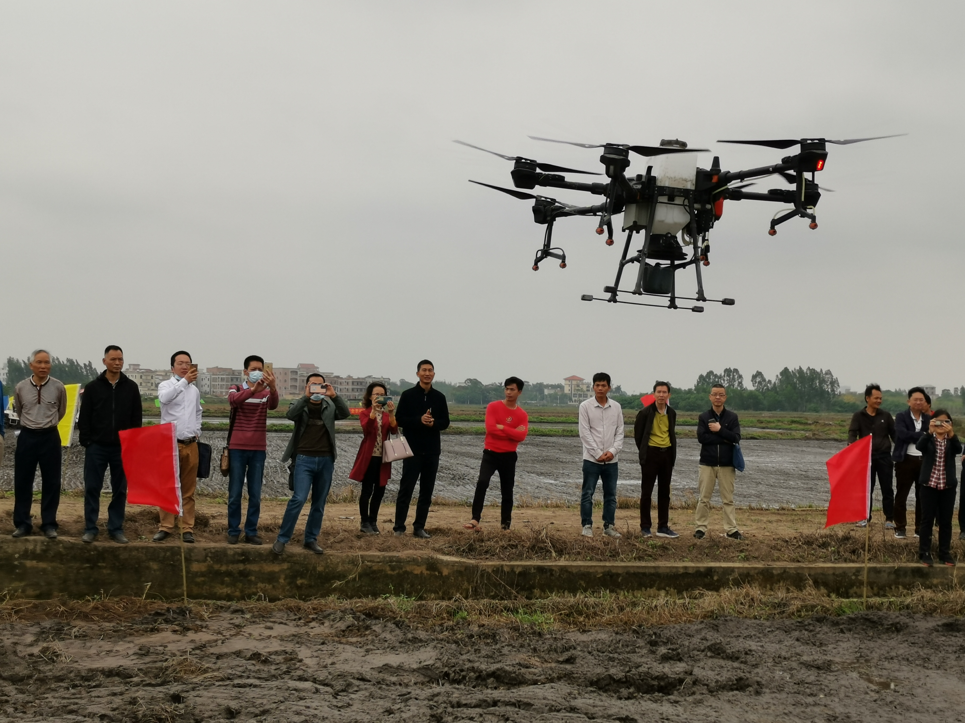 湛江市农业农村局召开早造水稻机械化种植技术推广现场会 (5).jpg