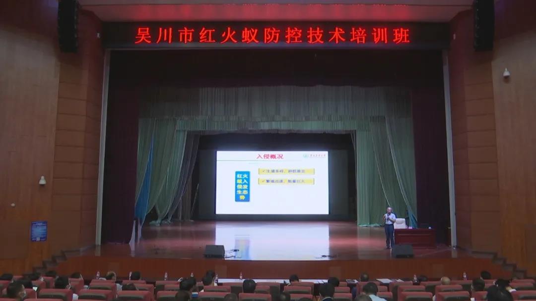 我市召开吴川市乡村振兴工作推进会暨红火蚁防控工作会议 (4).jpg