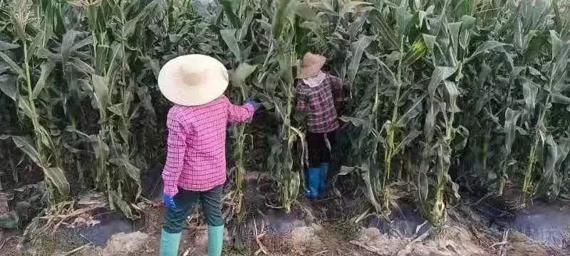 微信图片_20220321164730.jpg