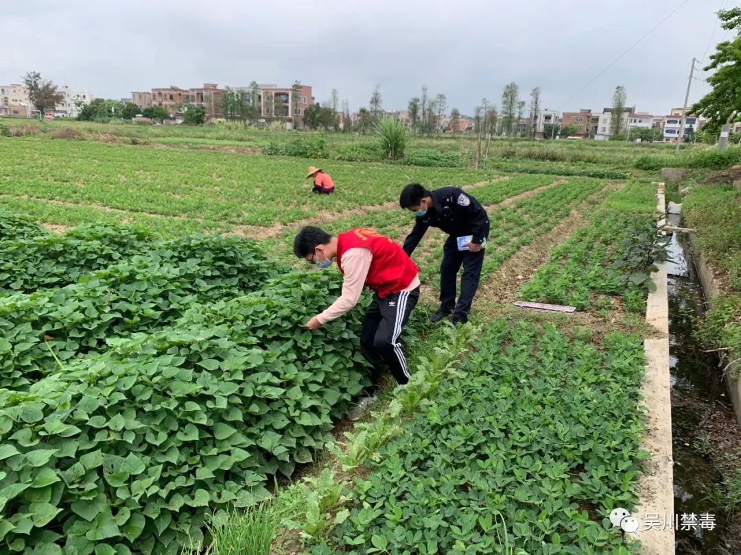 微信图片_20220415145354.jpg