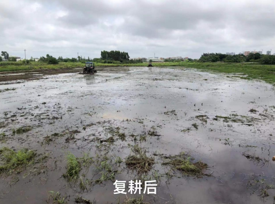 微信图片_20220525135400.png