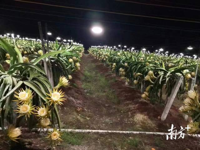 微信图片_20220708114046.jpg