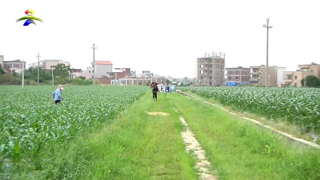 微信图片_20221119163933.jpg