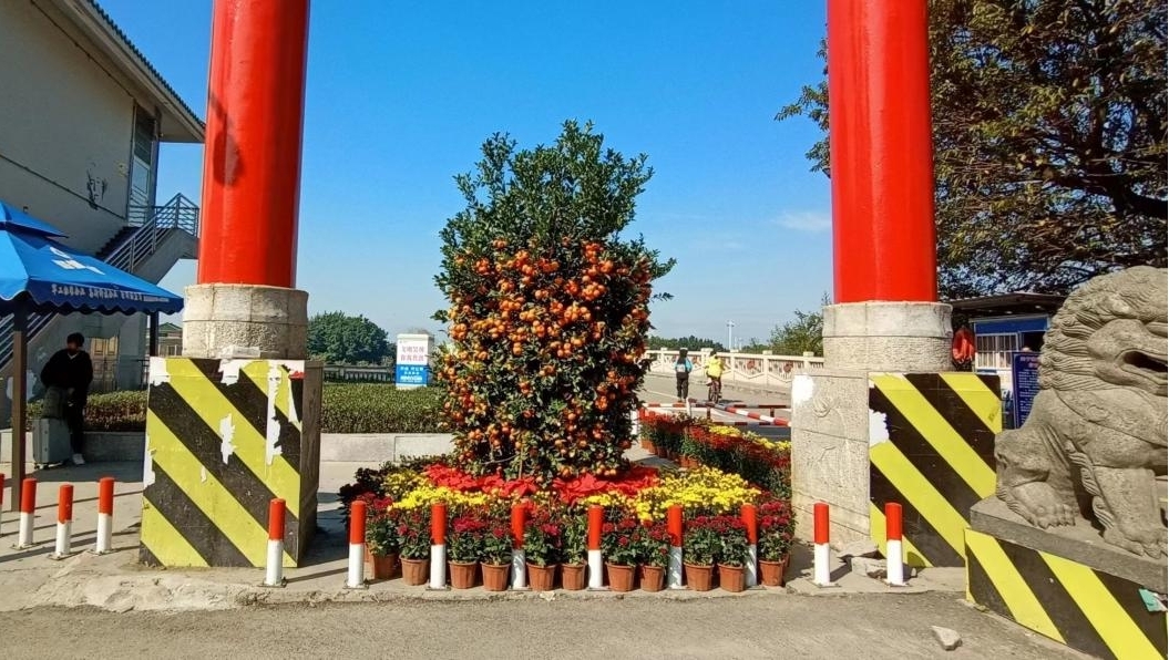 图片3.jpg
