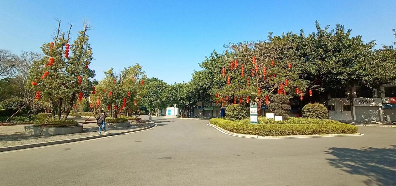 图片6.jpg