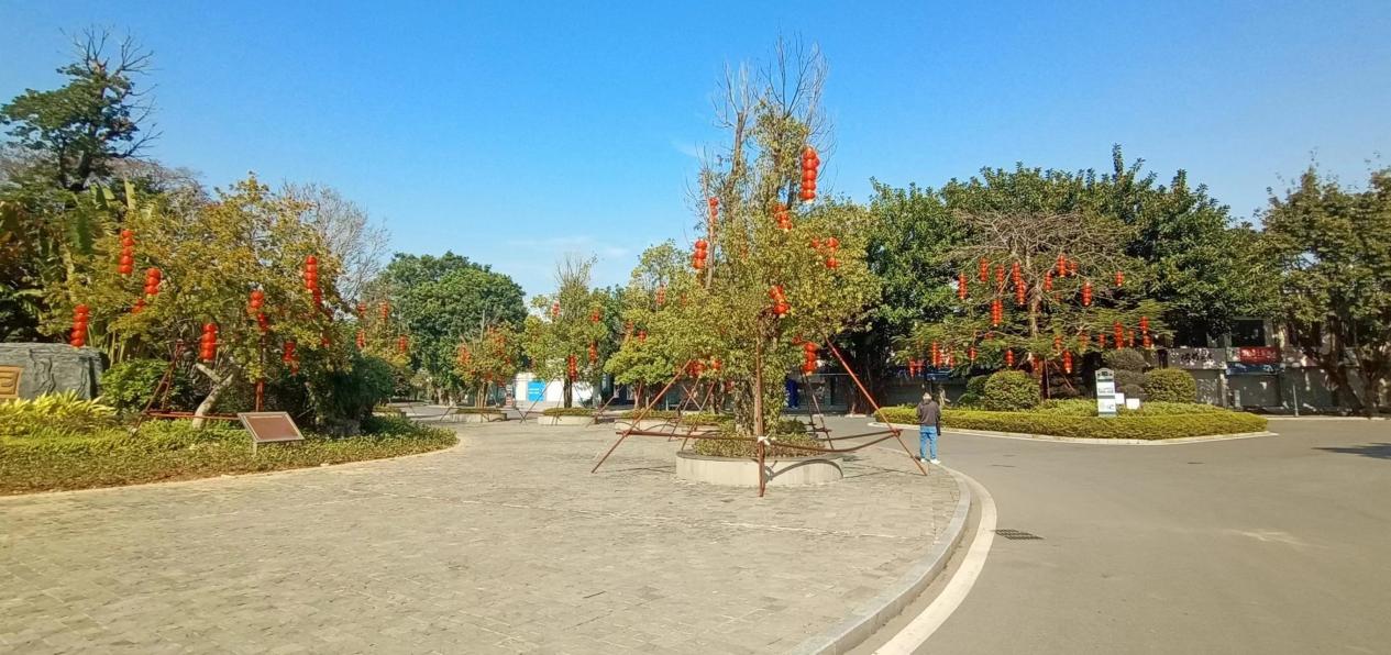 图片7.jpg