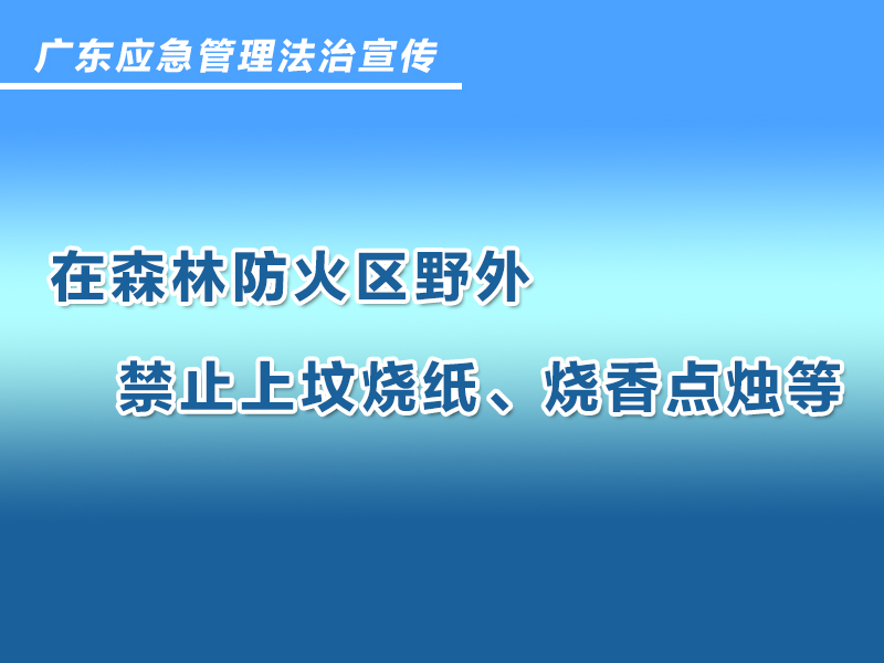 2937763.jpg