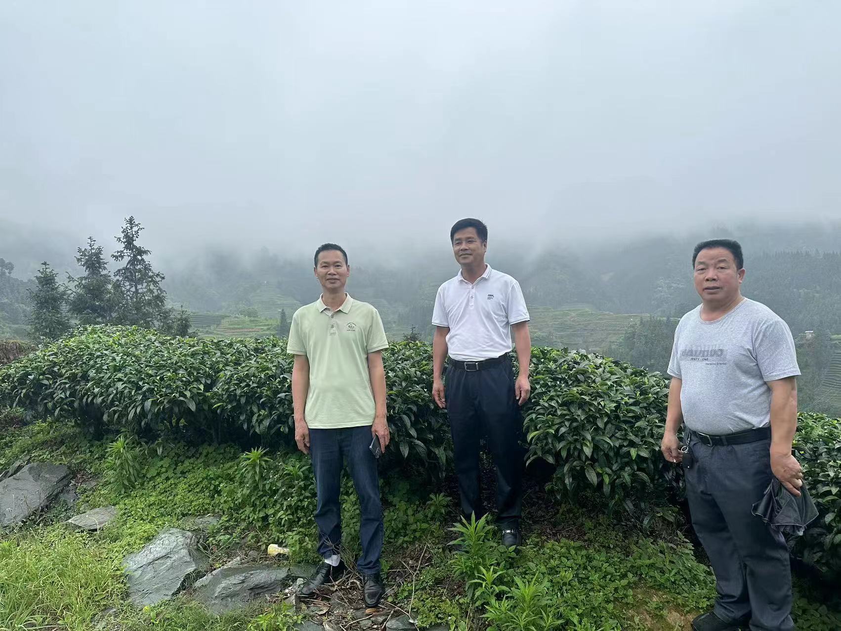 微信图片_20230529084443.jpg