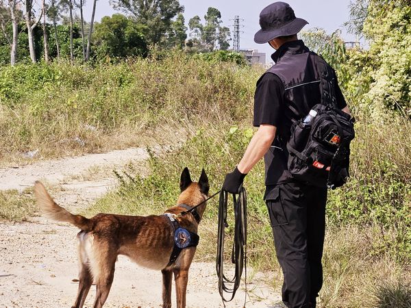 4-立功的警犬.jpg