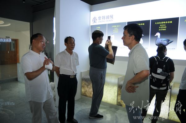 王德友（左一）一行在湛江紫荆羽绒制品有限公司参观考察。.JPG