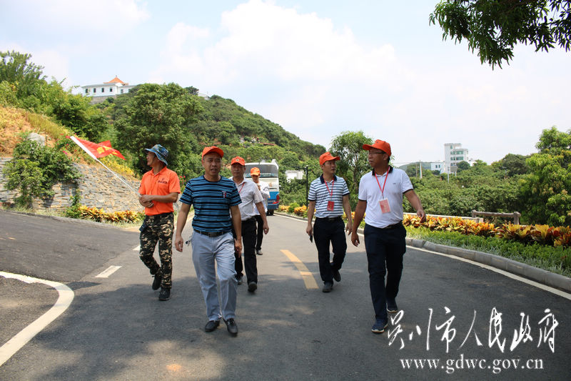 代表们在桥头村调研学习现场.JPG