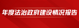 年度法治政府建设情况报告