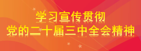 学习宣传贯彻党的二十届三中全会精神