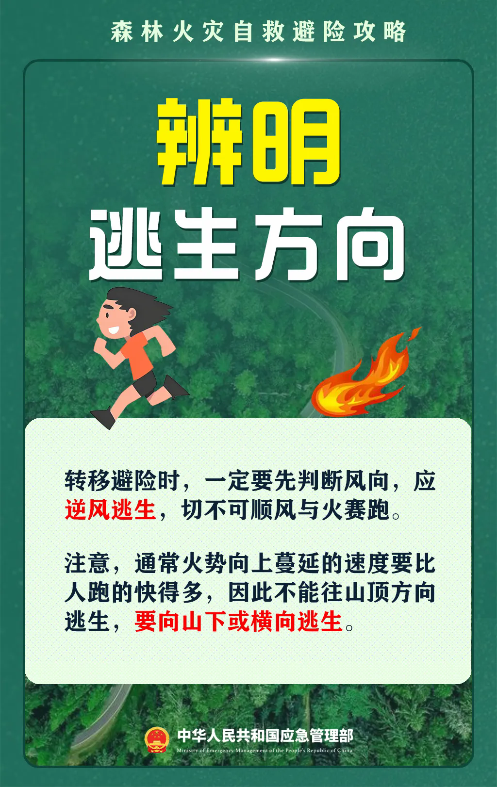 3.webp.png