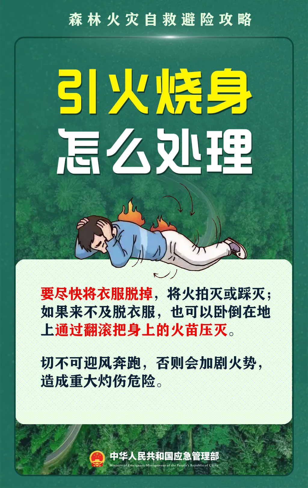 7.webp.png