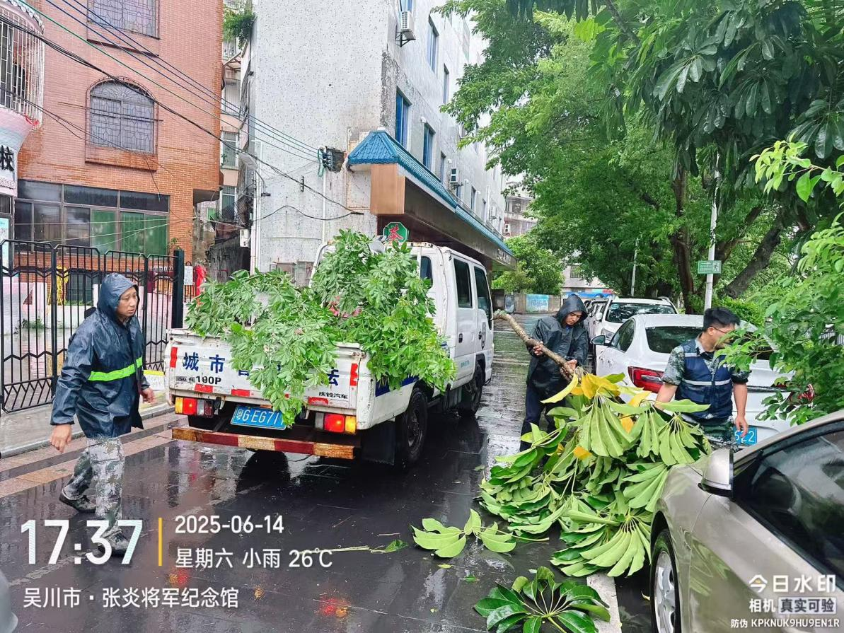 周末不打烊，假日不休息，吴川城管高效推进台风“蝴蝶”灾后复工复产工作