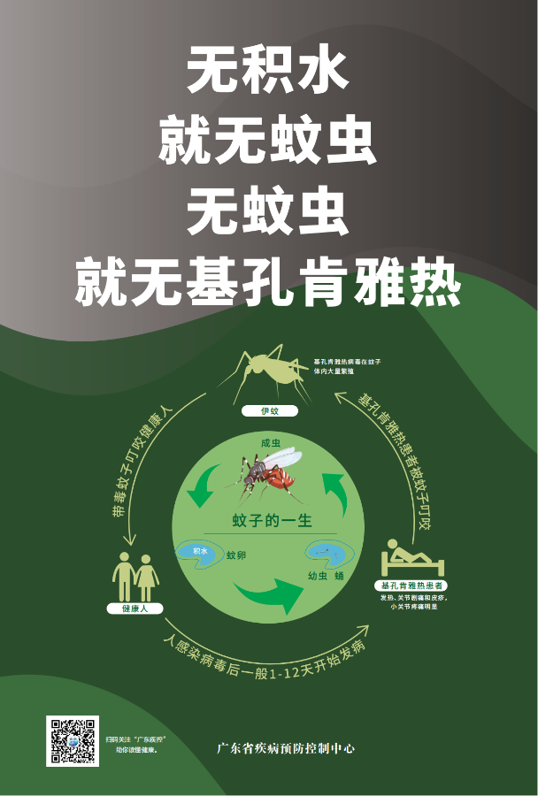 基孔肯雅热做防护灭成蚊海报_03.png