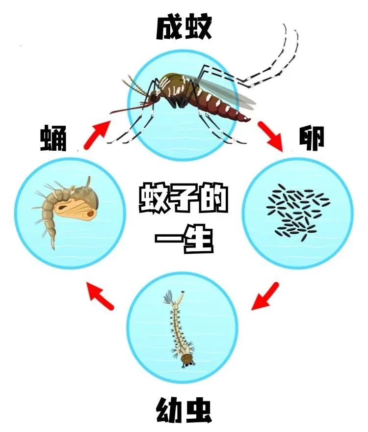 微信图片_20250814092820.jpg