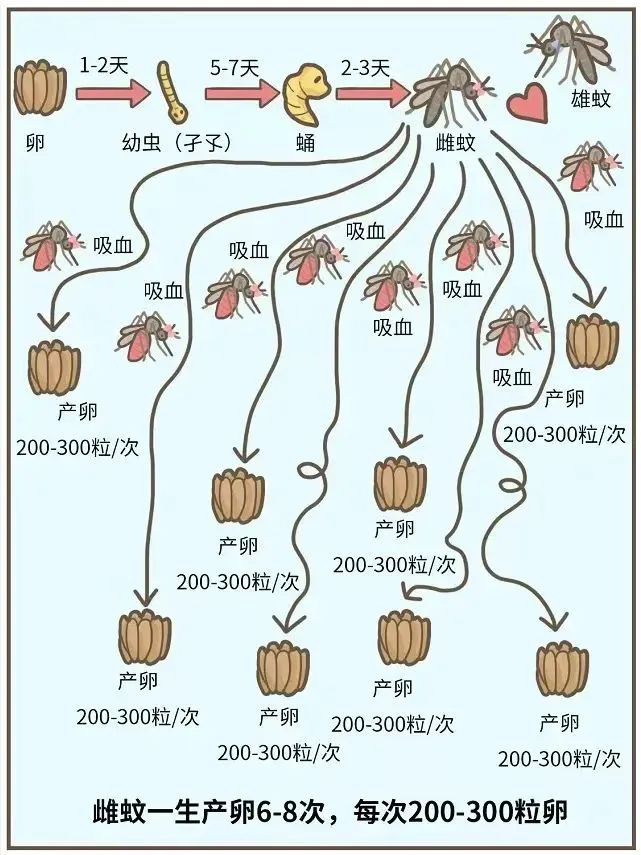 微信图片_20250814092855.jpg