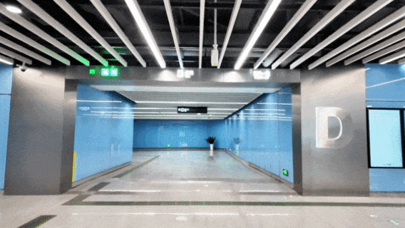 2ed2c01210667bb2f8dc.gif