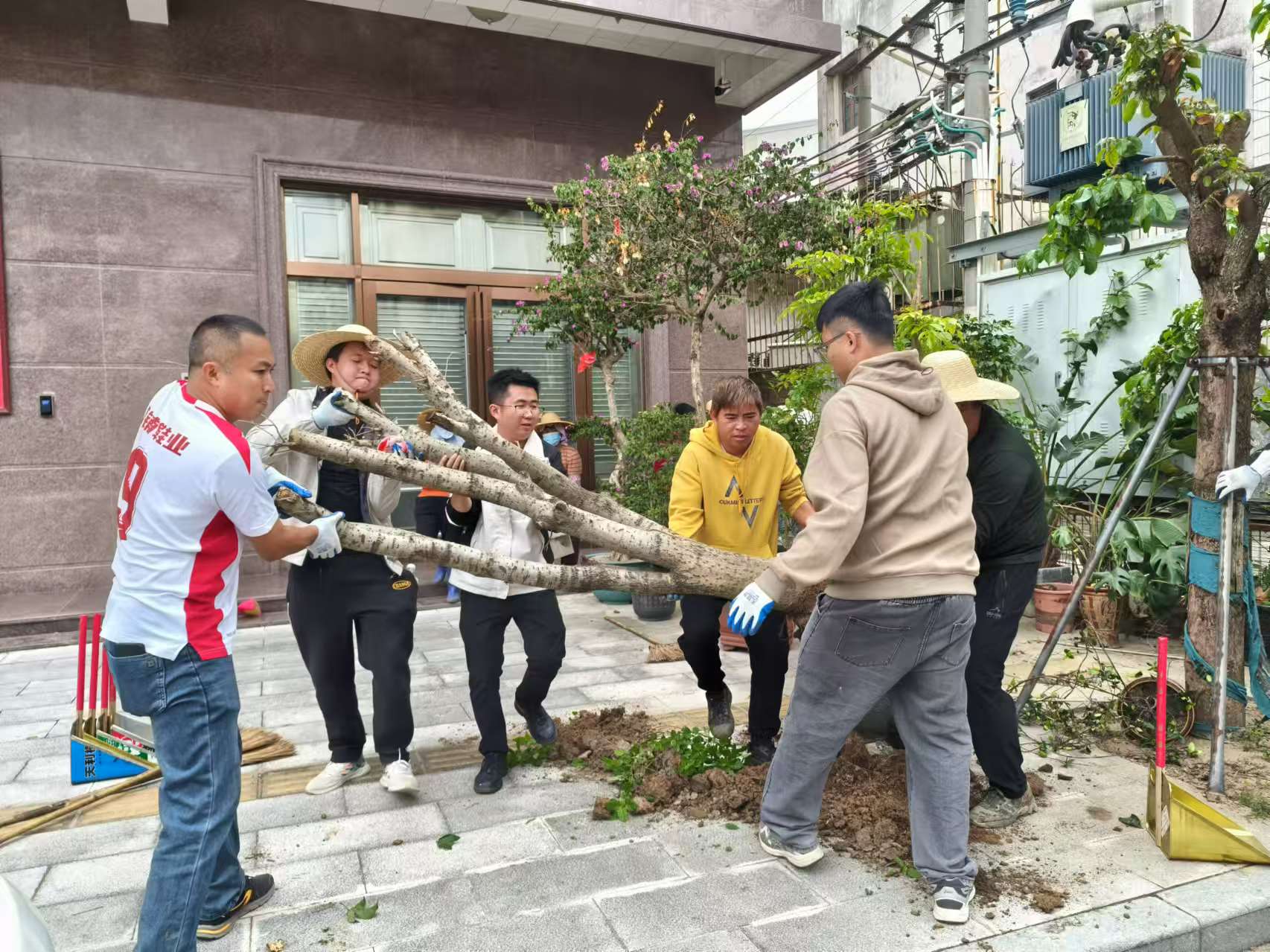 图片10.jpg