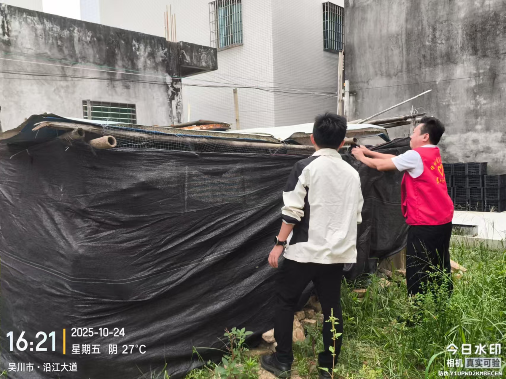 图片11.jpg