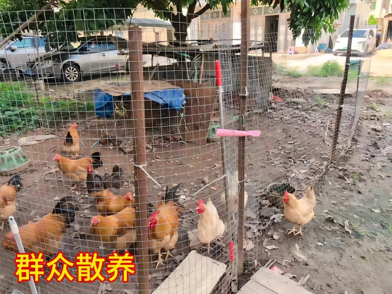 WPS图片(1).jpg