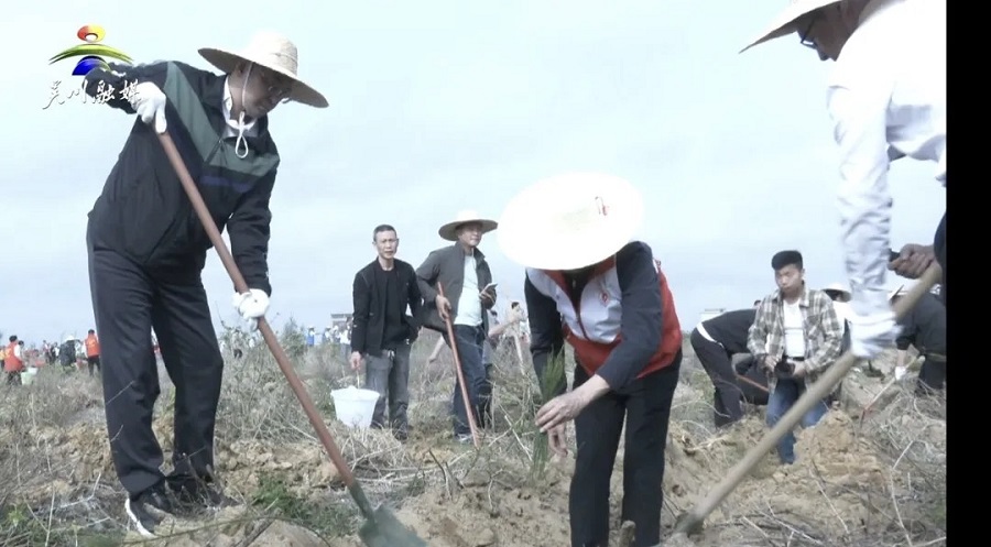 履行“植”责，共树未来：市四套班子领导参加义务植树活动
