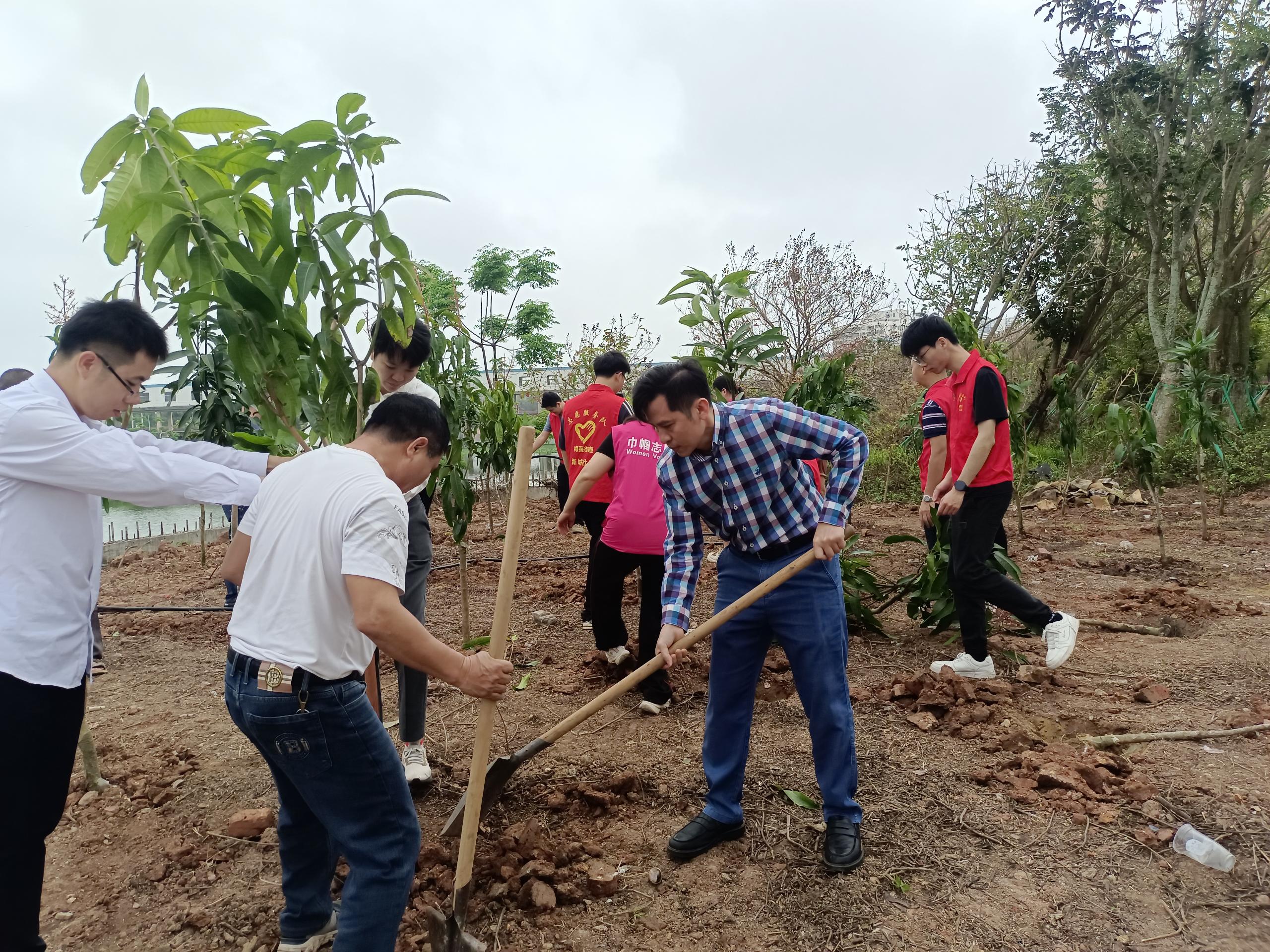 吴川市住房和城乡建设局深入挂点社区开展义务植树活动