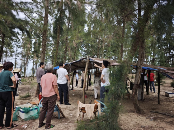 大山江街道：举全街道之力扎实推进海防林专项整治工作