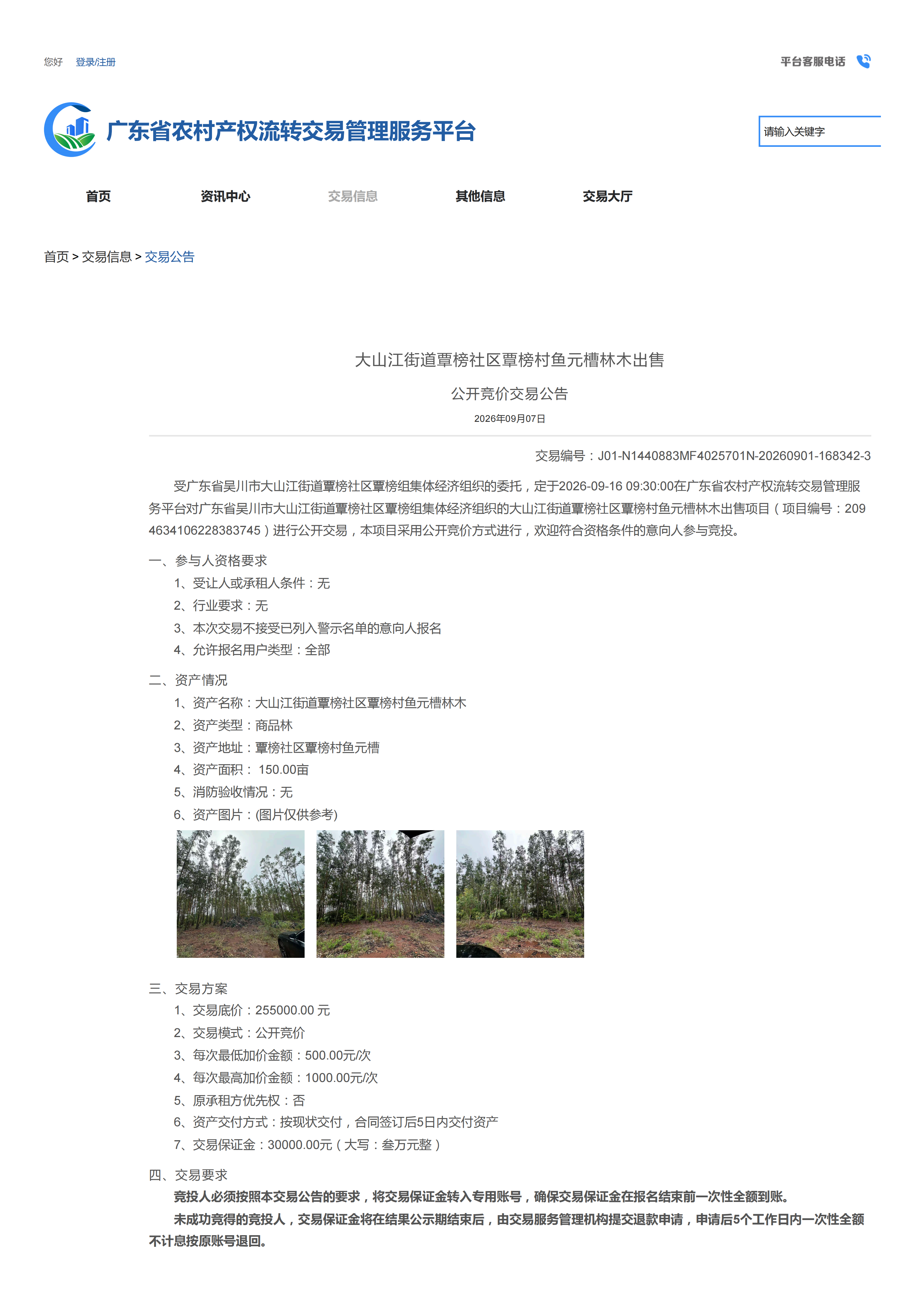 大山江街道覃榜社区覃榜村鱼元槽林木出售公开竞价交易公告_01.png