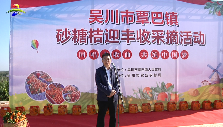 “同唱丰收曲 ，共筑中国梦”——覃巴砂糖桔喜迎丰收 (1).png