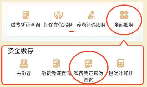 7.webp.png