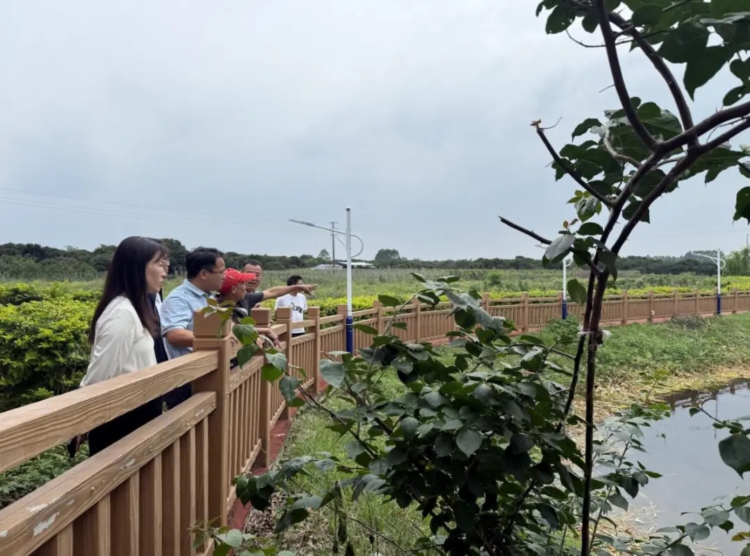 广州市花都区审计局