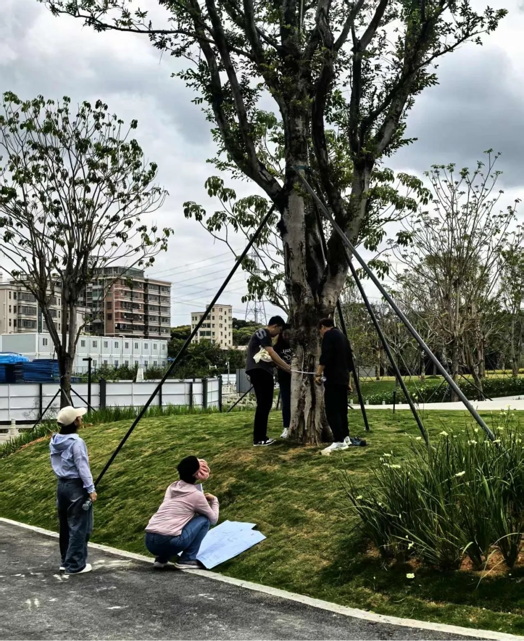 深圳市南山区审计局