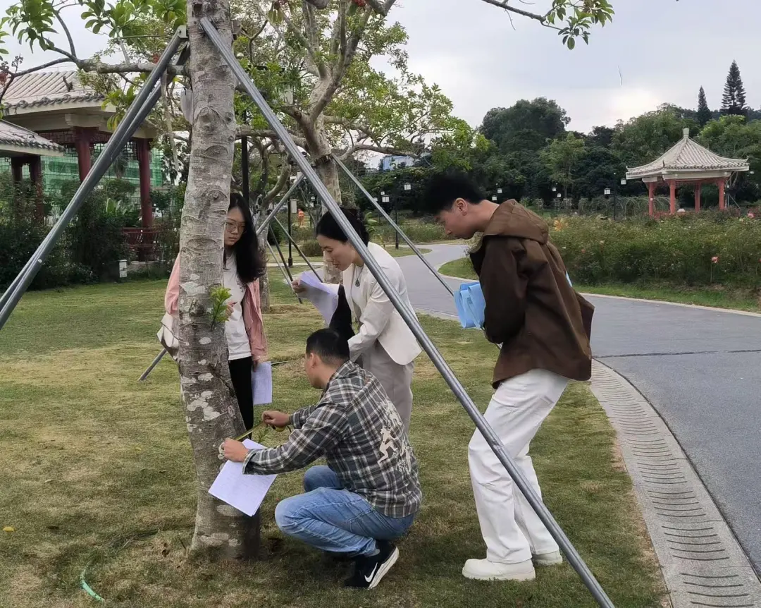 深圳市宝安区审计局 深圳市宝安区审计局